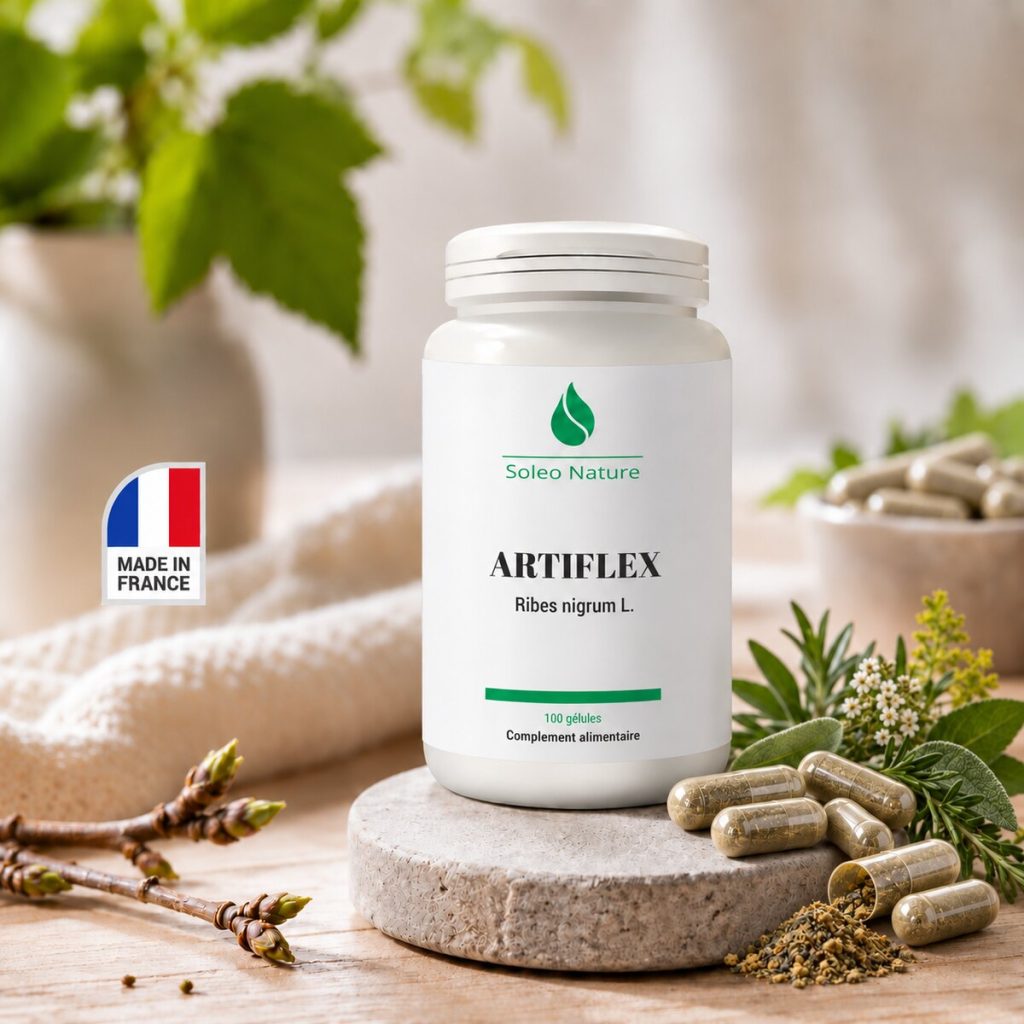 Pilulier blanc de 100 gélules ARTIFLEX Soléo Nature, posé sur un galet de pierre claire
