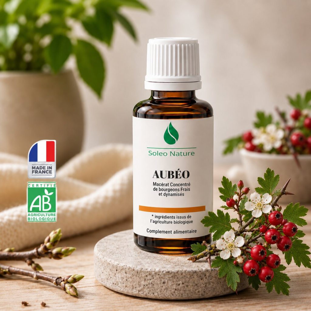 Flacon 30 ml de Aubéo Bio, macérat concentré de bourgeons de aubépine Soléo Nature, posé sur un galet de pierre claire