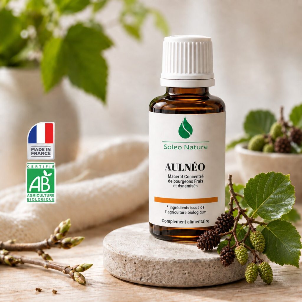 Flacon 30 ml de Aulnéo Bio, macérat concentré de bourgeons de aulne glutineux Soléo Nature, posé sur un galet de pierre claire