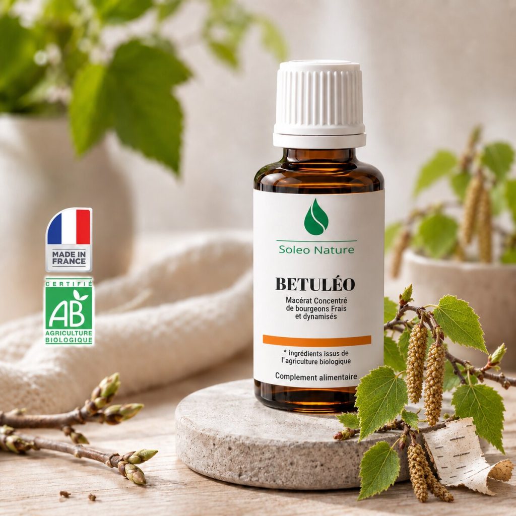 Flacon 30 ml de Bétuléo Bio, macérat concentré de bourgeons de bouleau Soléo Nature, posé sur un galet de pierre claire