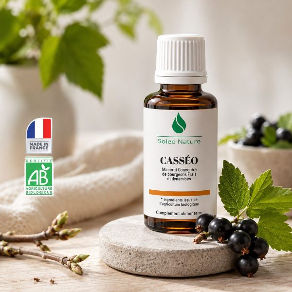 Flacon 30 ml de Casséo Bio, macérat concentré de bourgeons de cassis Soléo Nature, posé sur un galet de pierre claire