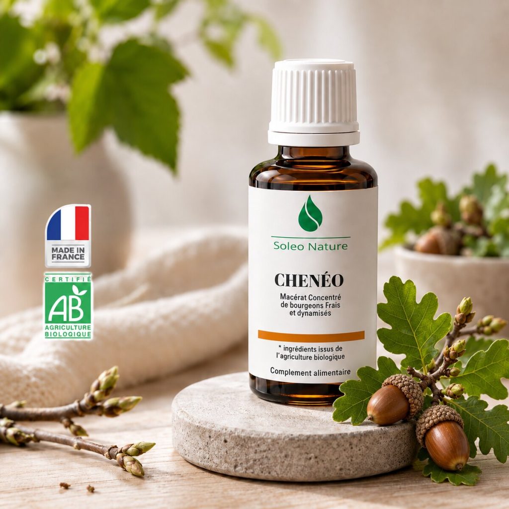 Flacon 30 ml de Chenéo Bio, macérat concentré de bourgeons de chêne Soléo Nature, posé sur un galet de pierre claire