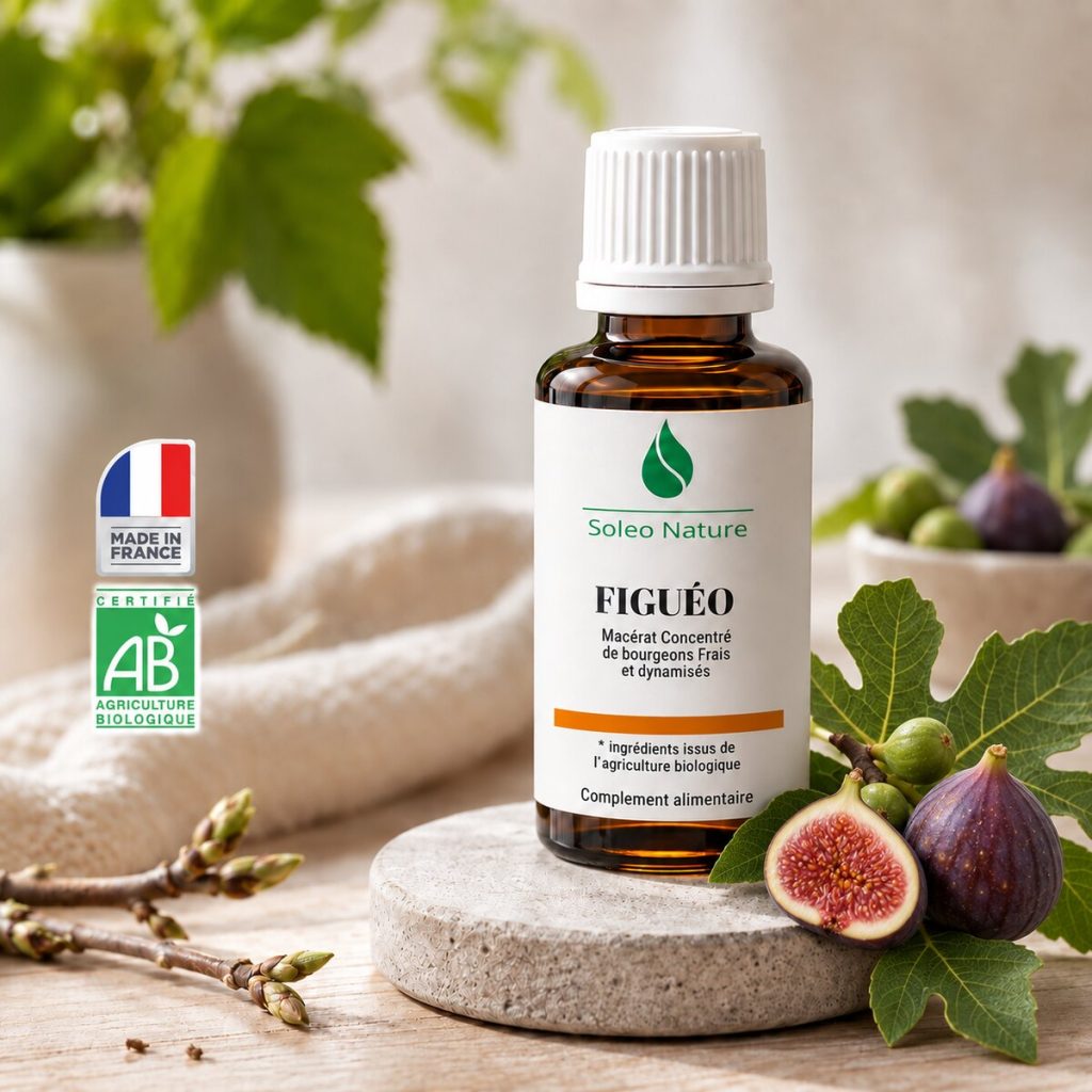 Flacon 30 ml de Figuéo Bio, macérat concentré de bourgeons de figuier Soléo Nature, posé sur un galet de pierre claire