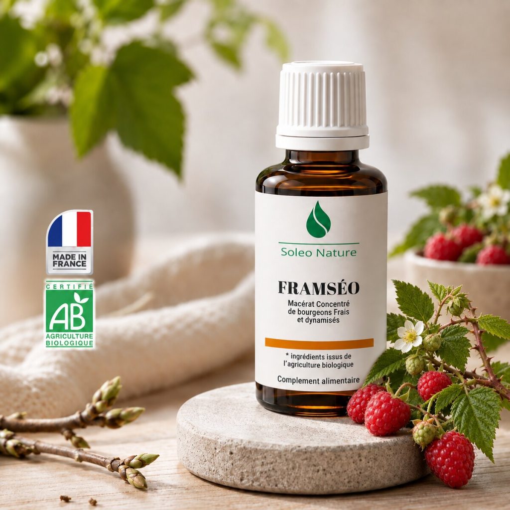 Flacon 30 ml de Framséo Bio, macérat concentré de bourgeons de framboisier Soléo Nature, posé sur un galet de pierre claire