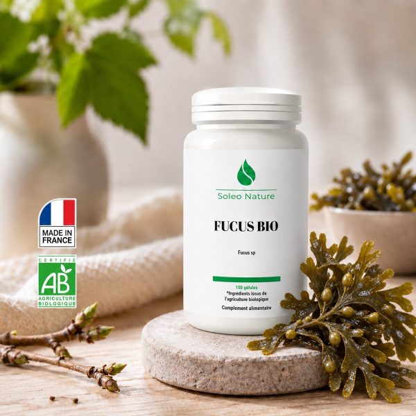 Pilulier blanc de 100 gélules de fucus bio Soléo Nature, posé sur un galet de pierre claire