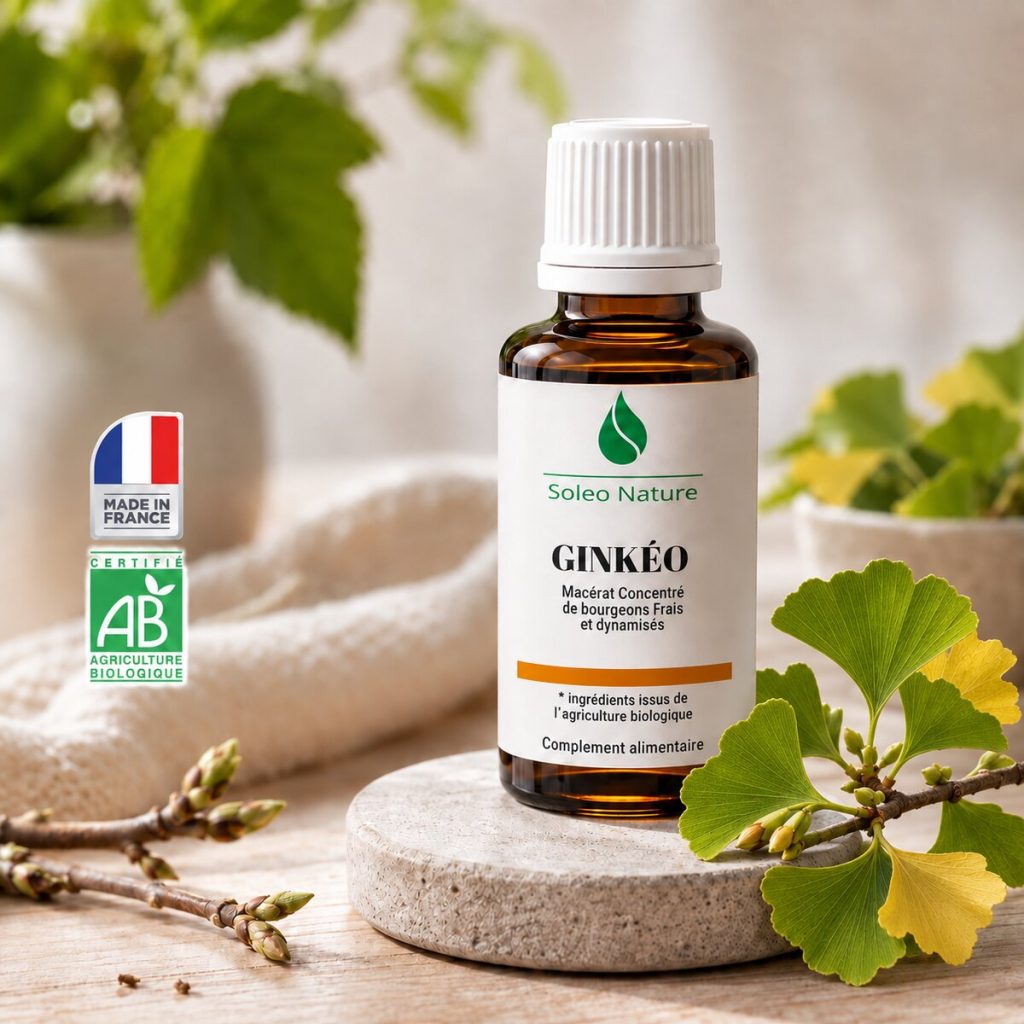 Flacon 30 ml de Ginkéo Bio, macérat concentré de bourgeons de ginkgo Soléo Nature, posé sur un galet de pierre claire