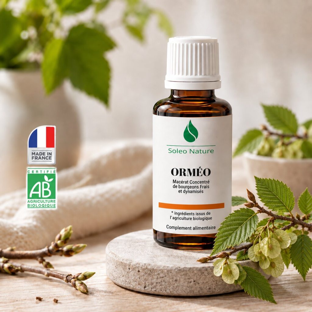 Flacon 30 ml de Orméo Bio, macérat concentré de bourgeons de orme Soléo Nature, posé sur un galet de pierre claire