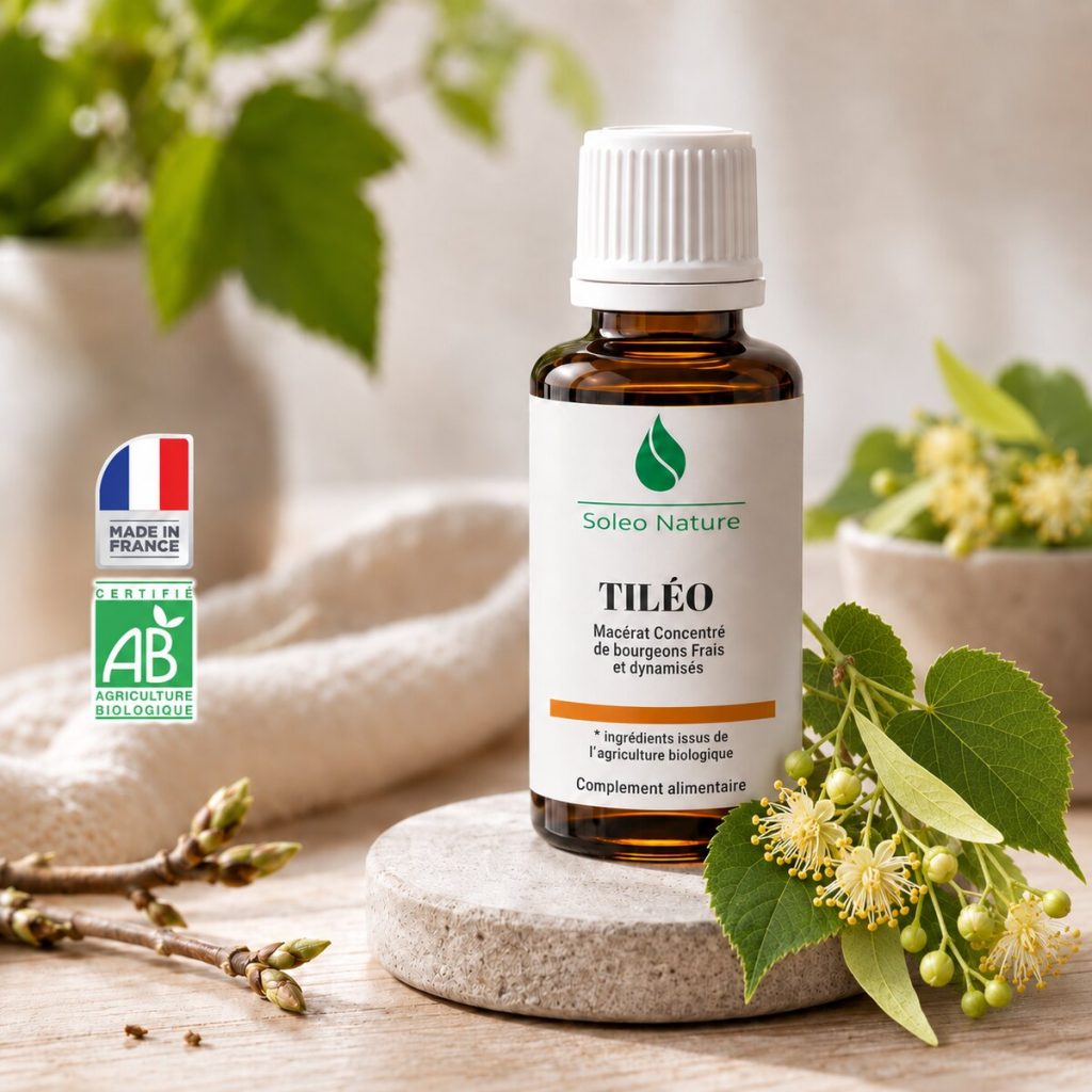 Flacon 30 ml de Tiléo Bio, macérat concentré de bourgeons de tilleul Soléo Nature, posé sur un galet de pierre claire