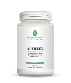 ARTIFLEX – 100 gélules